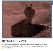 operationviper