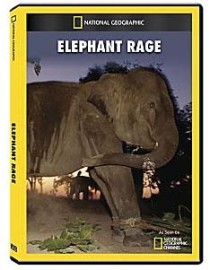 ELEPHANT RAGE