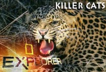 KILLERCATS